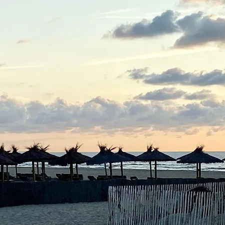 Superbe 3 Pieces Les Planches Vue Deauville Tourgeville